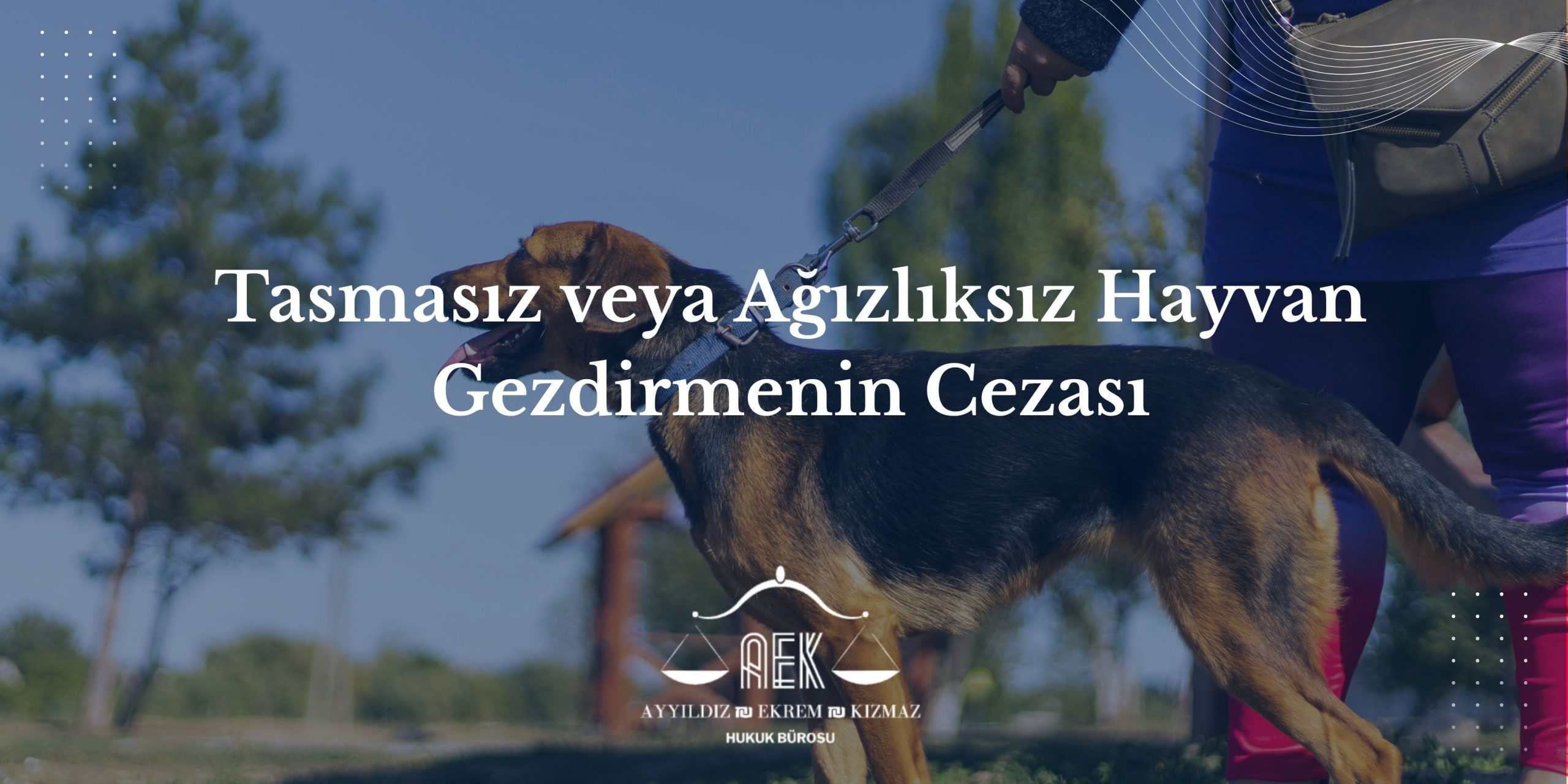 Tasmasız veya Ağızlıksız Hayvan Gezdirmenin Cezası